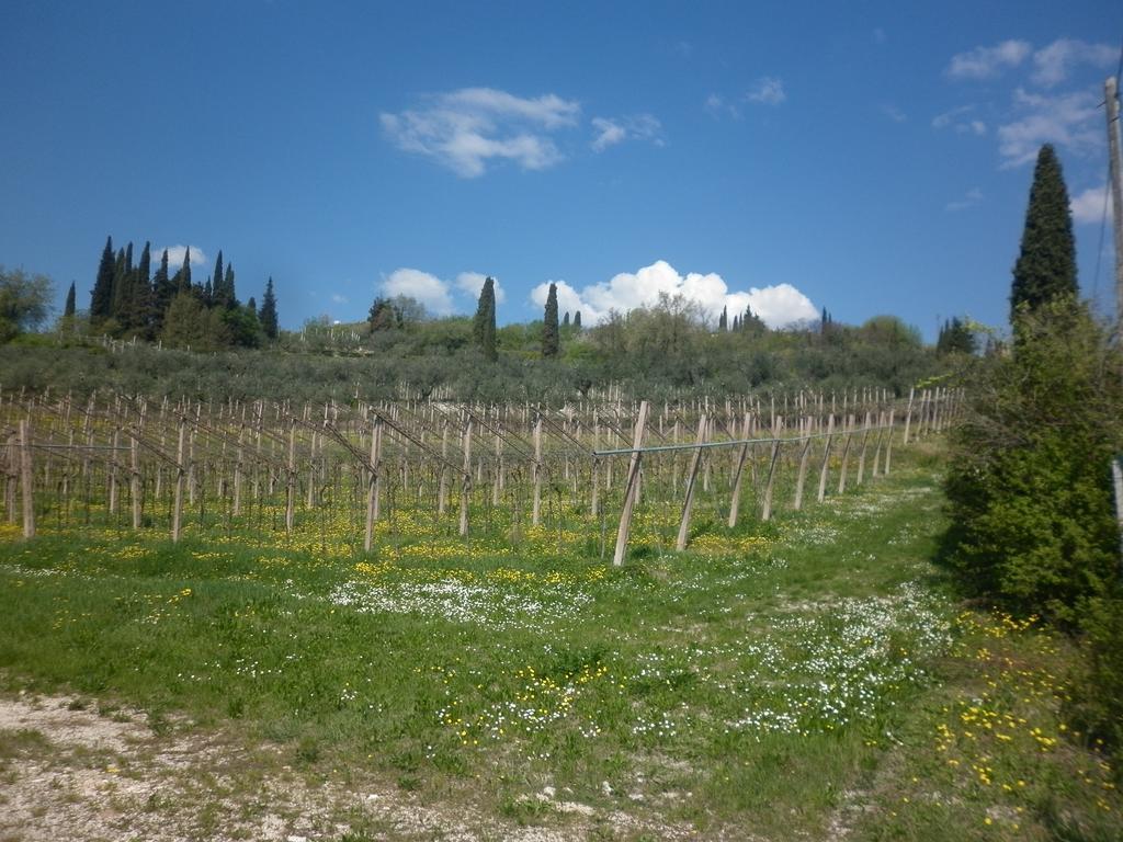 شقة SantʼAmbrogio di Valpolicella  في La Piccola Mimosa المظهر الخارجي الصورة