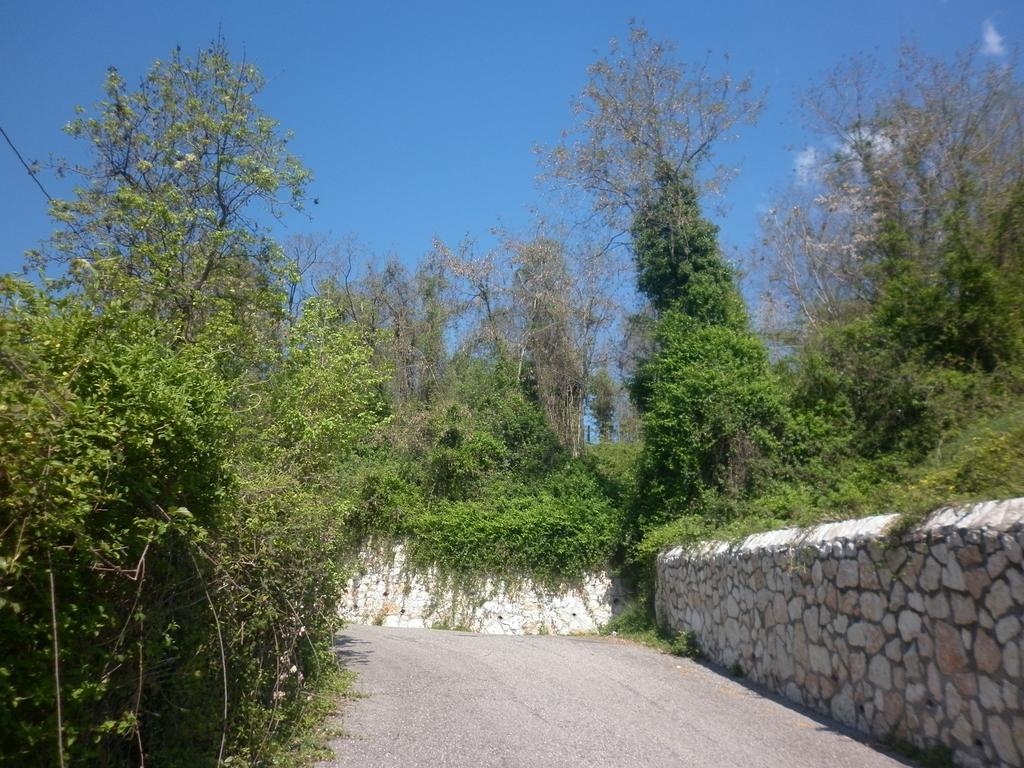 شقة SantʼAmbrogio di Valpolicella  في La Piccola Mimosa المظهر الخارجي الصورة