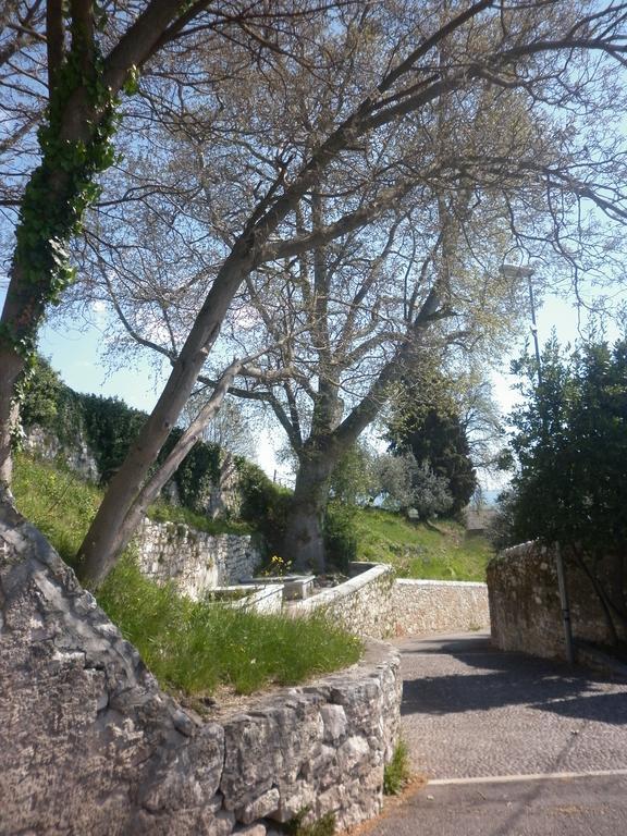شقة SantʼAmbrogio di Valpolicella  في La Piccola Mimosa المظهر الخارجي الصورة